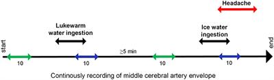 Increased Blood Flow Velocity in Middle Cerebral Artery and Headache Upon Ingestion of Ice Water